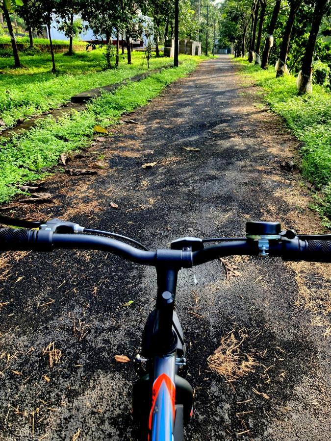 Rockdale Resort Nilambur Luaran gambar