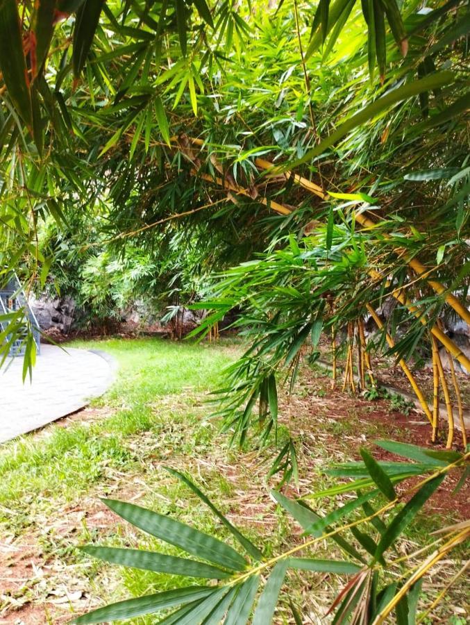 Rockdale Resort Nilambur Luaran gambar